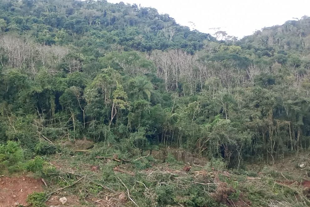 Encosta após supressão de vegetação na área de alague